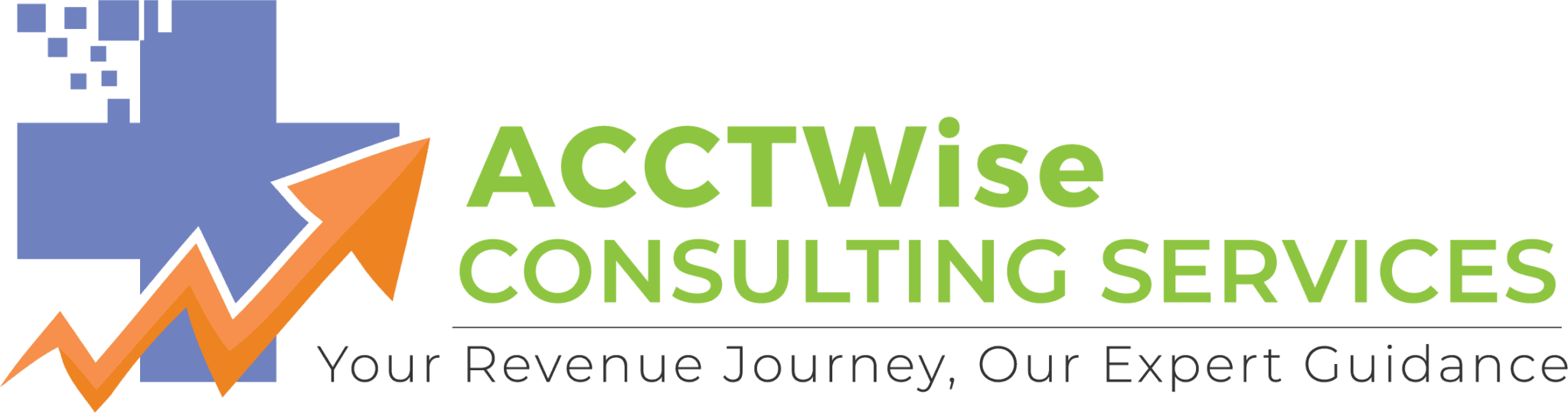 ACCT Wise Consulting Services, LLC